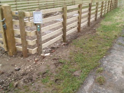 Image on trail